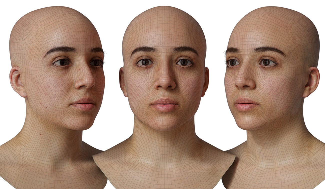 head model wireframe mesh